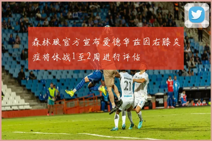 森林狼官方宣布爱德华兹因右膝炎症将休战1至2周进行评估