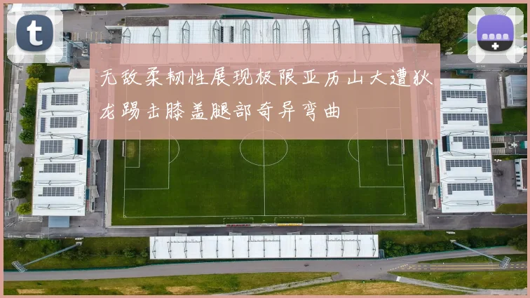 无敌柔韧性展现极限亚历山大遭狄龙踢击膝盖腿部奇异弯曲